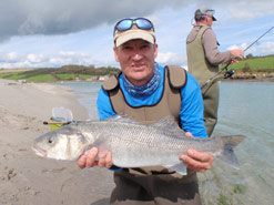 Bass Fishing in Ireland