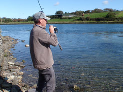 Bass Fishing in Ireland