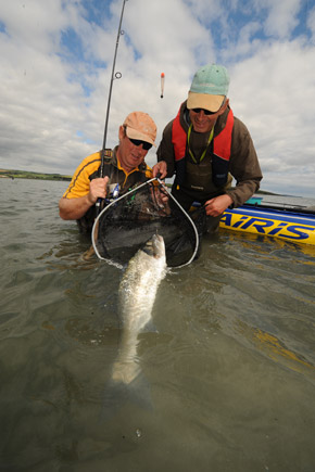 Bass fishing in Ireland